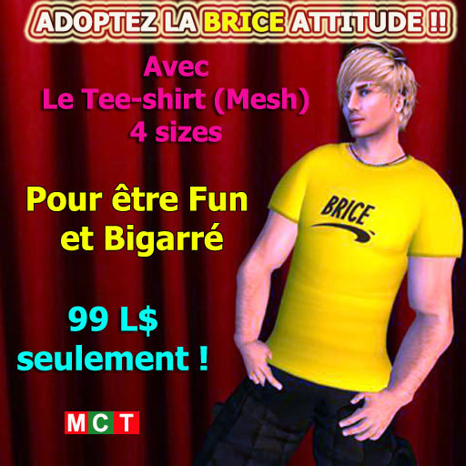 Tee-shirt Mesh Brice de Nice [DISKOPOLE]