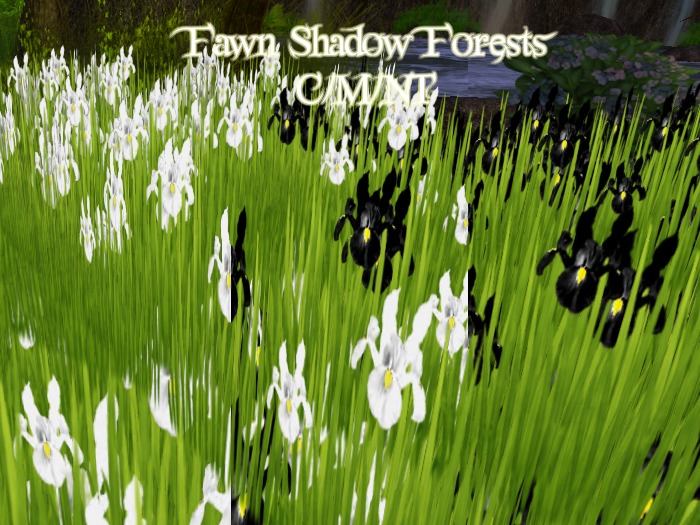 ~FSF~ Monochromatic Mesh/Sculpted Irises 3-Pack