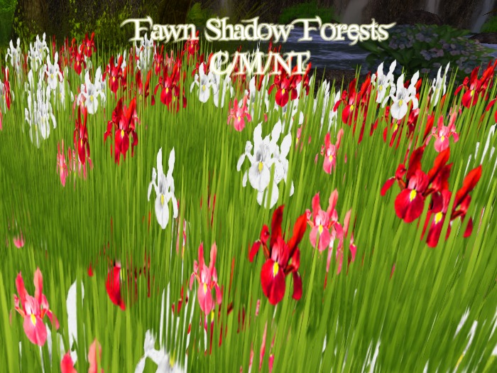 ~FSF~ *PROMO* Mesh/Sculpted Irises Young Love Mix