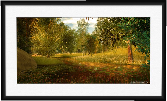 Reflections