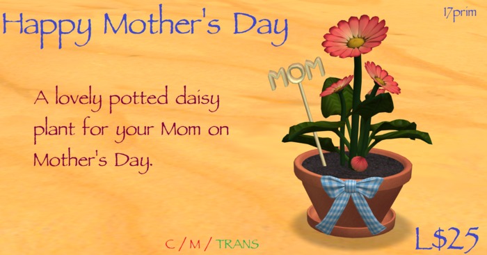Mother's Day Pink Daisies by Sami