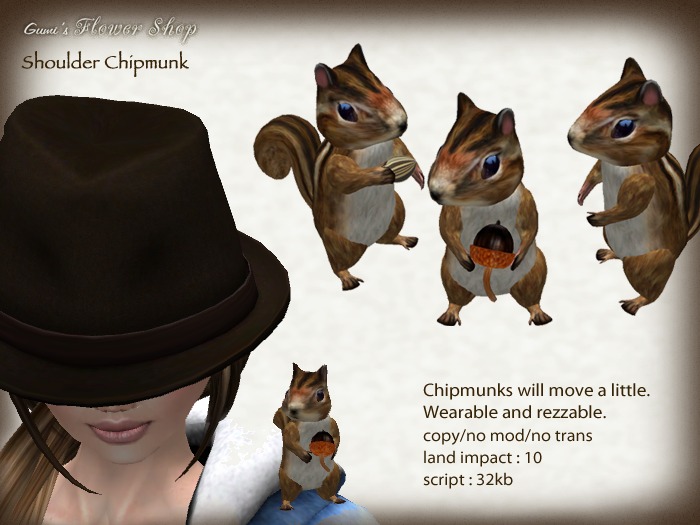 (g.) Shoulder Chipmunk