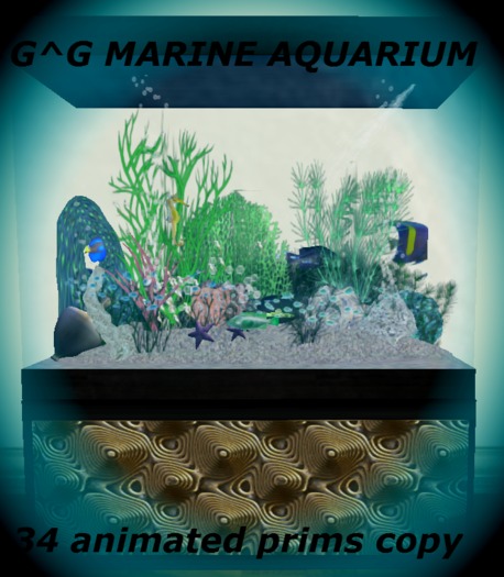 G^G  MARINE AQUARIUM