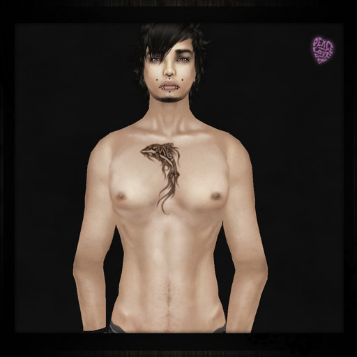..:: TaTToo// Chest Tribal Dauphin VM