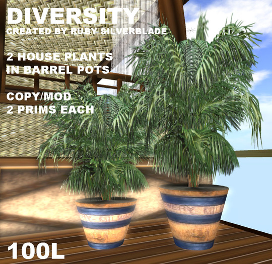HOUSE PLANTER (1 SMALL & 1 LARGE FERN) BOXED - QH BY DIVERSITY