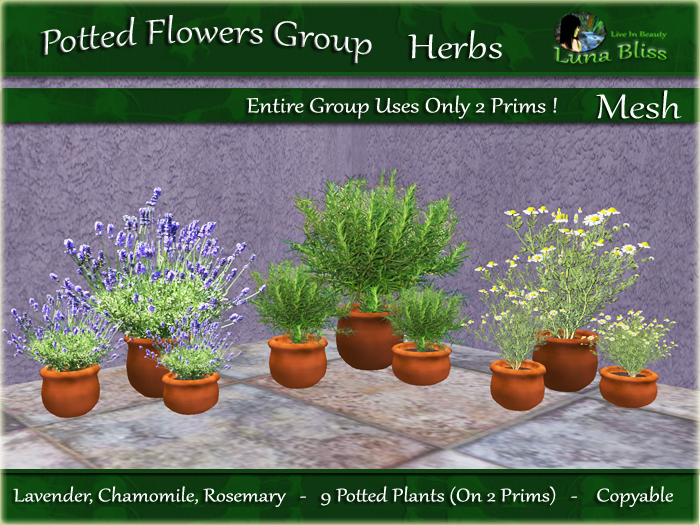 Potted Flowers Group - Herbs - 9 potted plants on 2 prims (box)