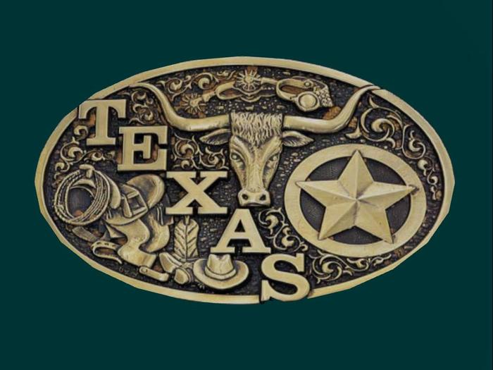 Western Style Buckle - Texas