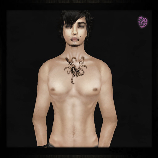 ..:: TaTToo// Chest Skull Madness VM