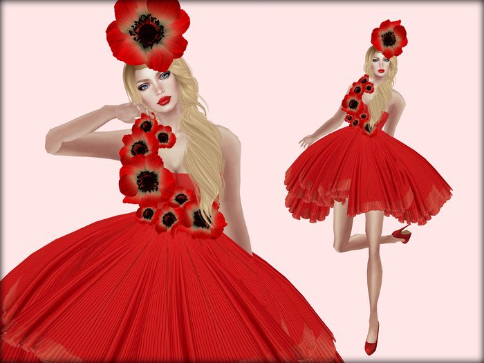 Boudoir Poppy dress