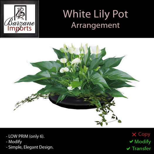 BARZANE Imports - White Lily Pot Arrangement Boxed