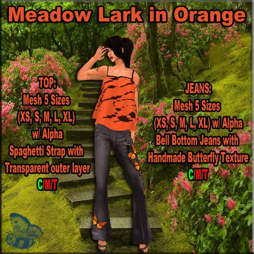 .:.FB.:. Meadow Lark Orange