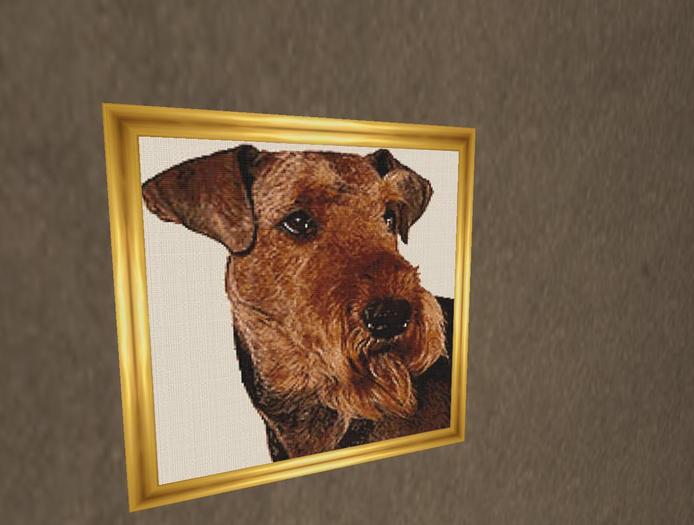 Airedale Terrier 2_picture 