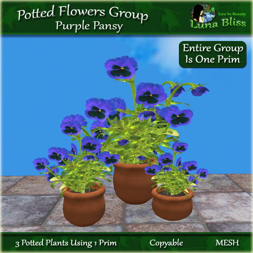 Potted Flowers Group - Purple Pansy MESH (boxed)