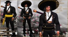 1100 Zed Sensations*.Julio Flamenco men outfit gold