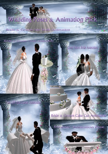 Wedding Poses & Animations Pack  Animations fat pack Box