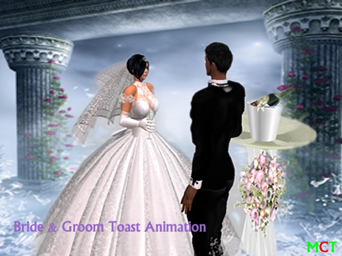 Second Life Marketplace - Wedding Poses & Animations Pack Champagne ...