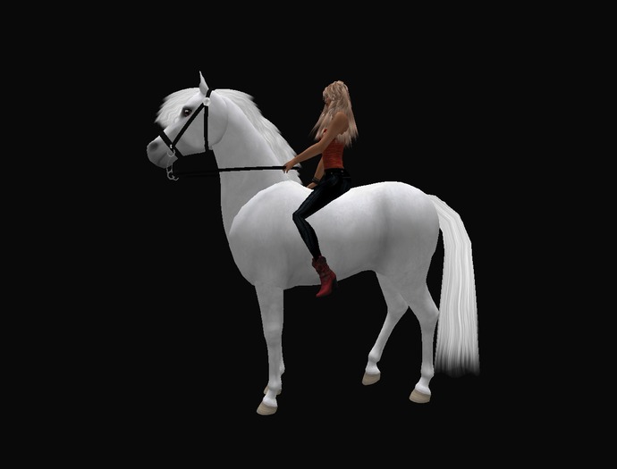 SPIRITUS III ( BLACK w SOX) Western
