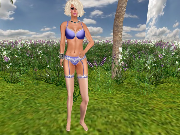 Shape   ( Ela )       Dia 4/04/ 2013