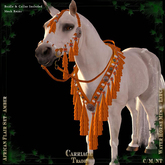 @CT@ African Flair Set WHML  Chocolate