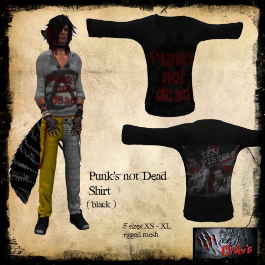 :: Chay's:: T-Shirt grungy blue