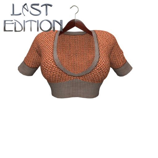 Last Edition Orange V-neck Cropped Pullover 
