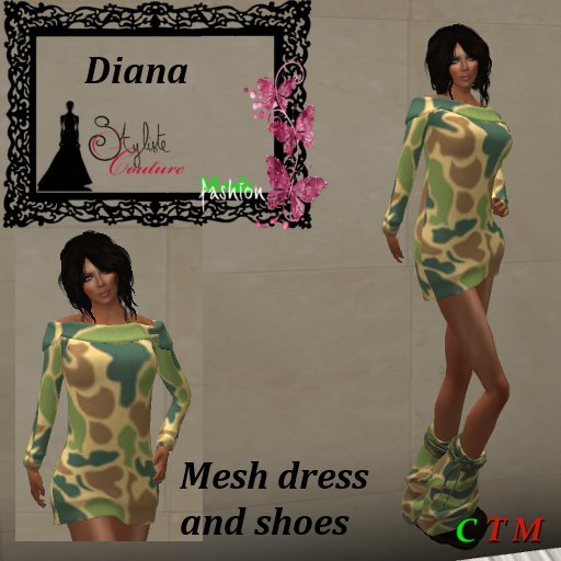 Diana Camo 2