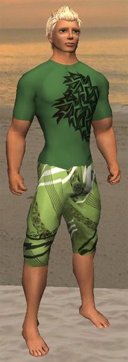 Surface Green Shard Boardie Set