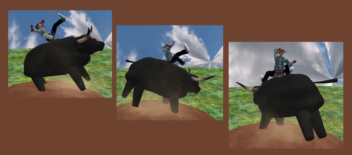 Wingsong Bull Ride REZ - FatPack Box