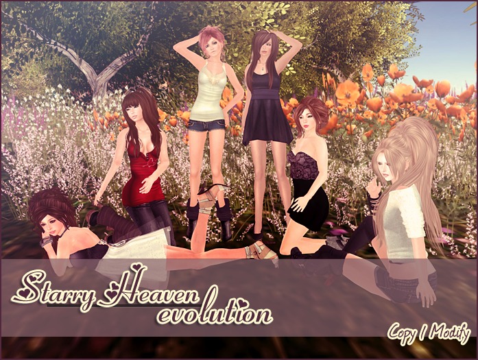 *[Starry Heaven]* evolution group pose