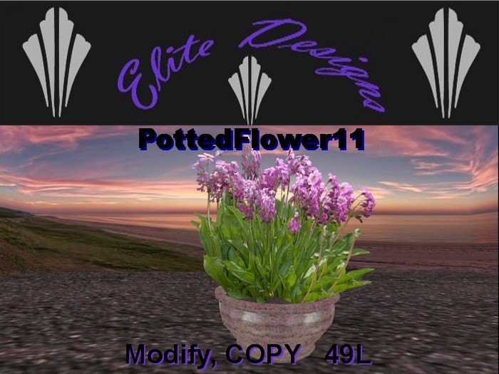 Potted Tropical Plant01