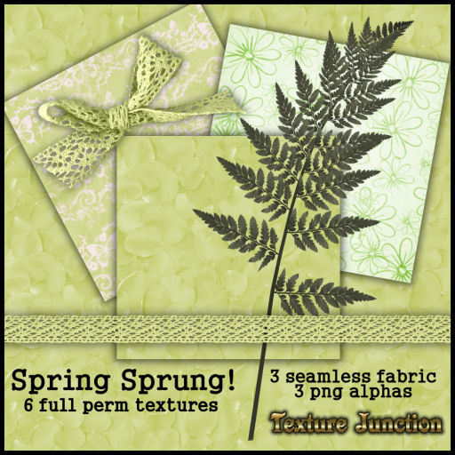 ~TJ~  Spring Sprung