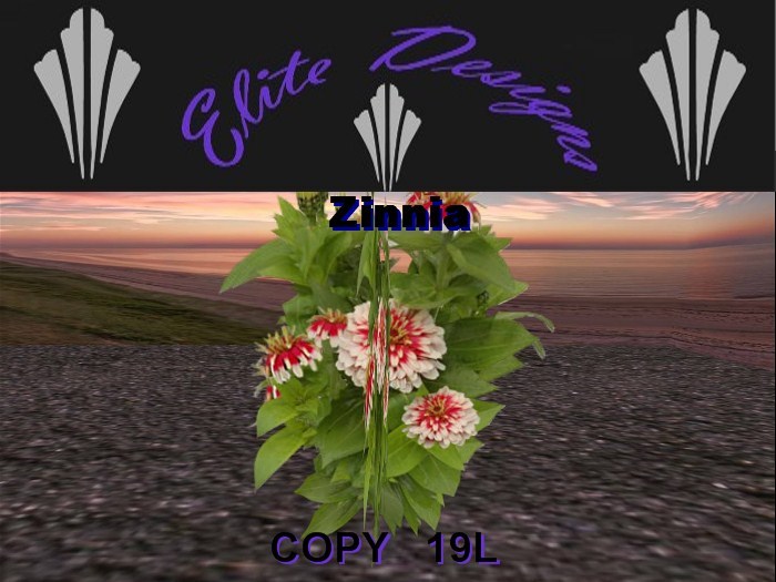 Potted Tropical Plant01