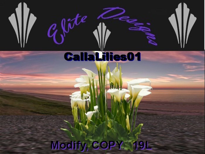 Potted Tropical Plant01