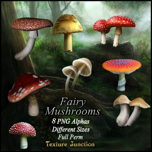 ~TJ~  Fairy Mushrooms