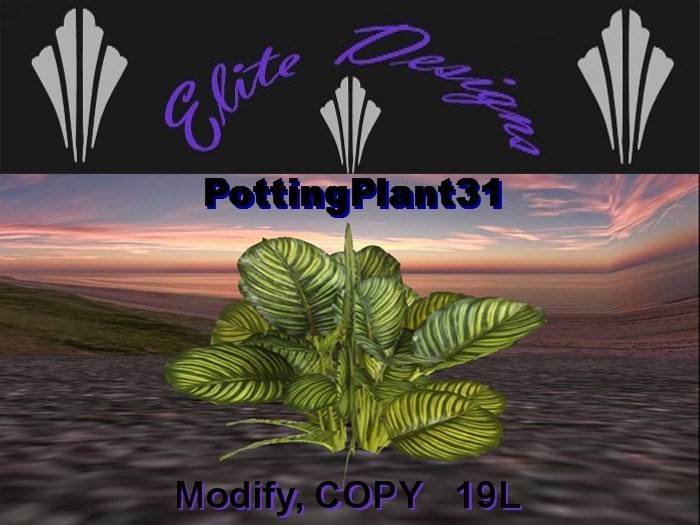 Potted Tropical Plant01