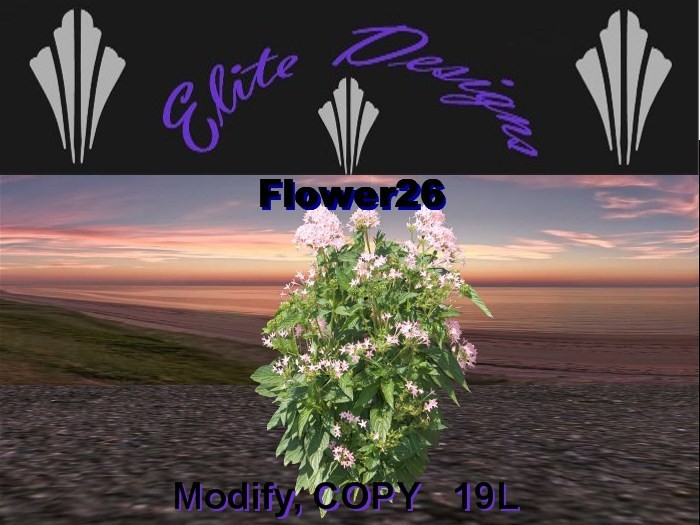 ~ LOW PRIM FLOWER 26 ~