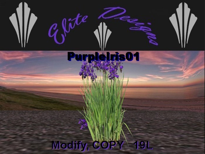 Potted Tropical Plant01