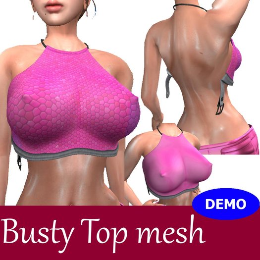 (DEMO) Busty Top mesh (all colors)
