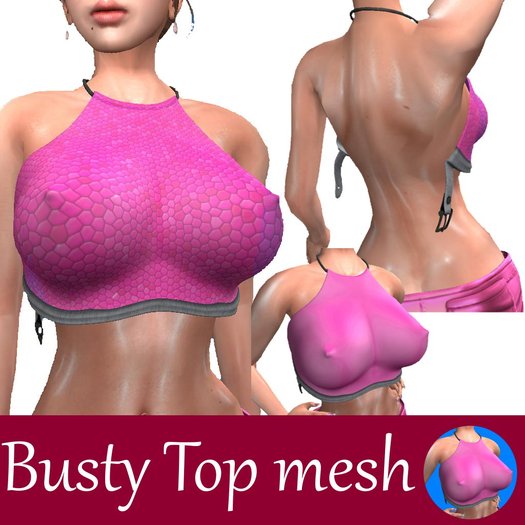 Busty Top mesh (pink)