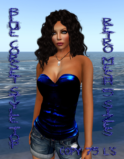 Blue Retro Shiny Mesh Corset Top