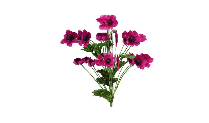 Fushia Flowers