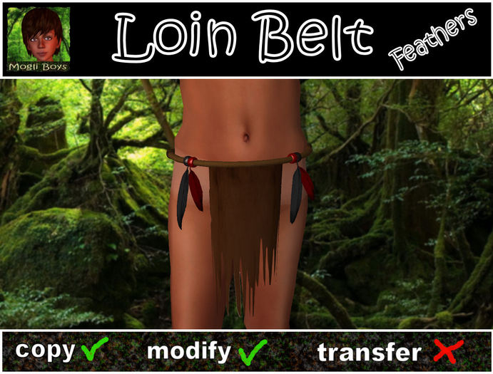 Loin Belt Feathers