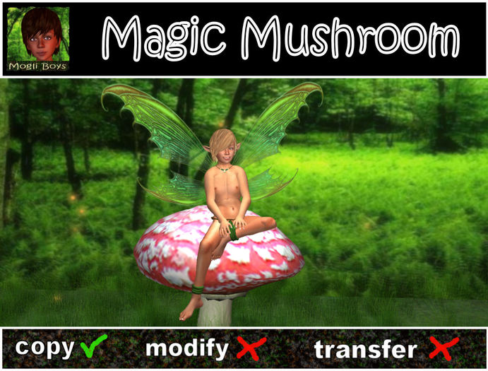 Magic Mushroom