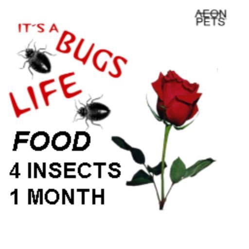 bugs life food medium *boxed*
