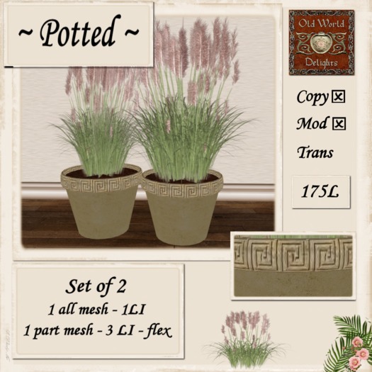 Pampas beige pots - boxed
