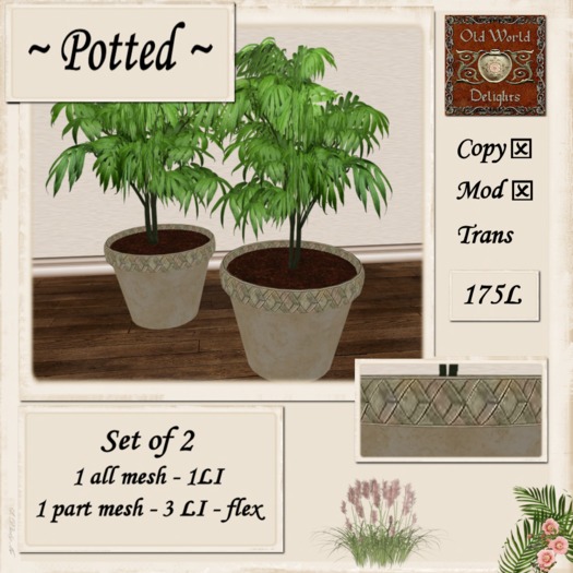 Palms beige pots - boxed