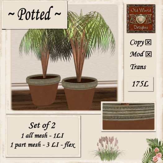 Palms terracota pots - boxed