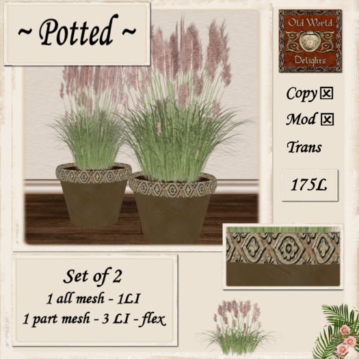 Pampas drk beige pots - boxed