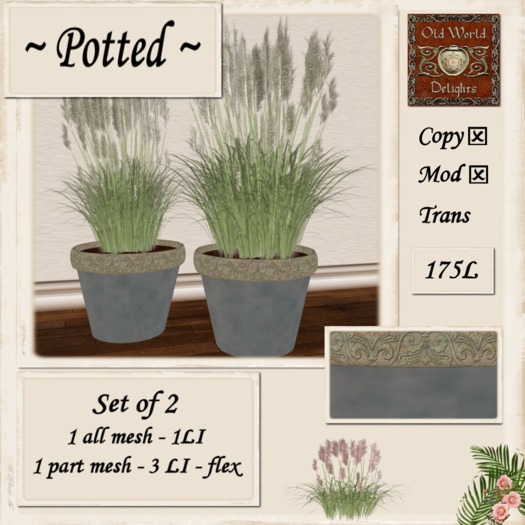 Pampas lgt blue pots 1 - boxed