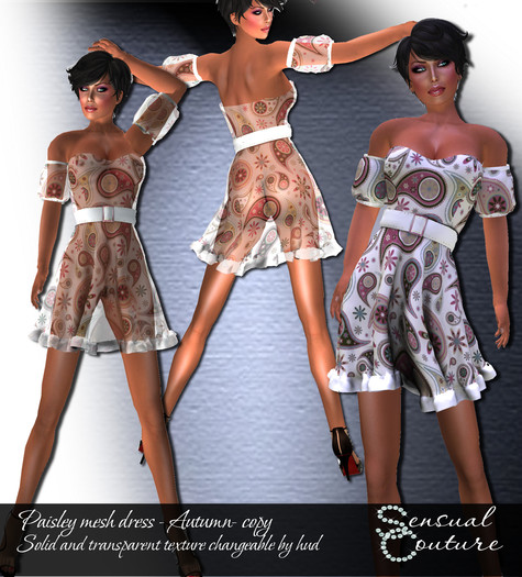 Paisley mesh dress *autumn*